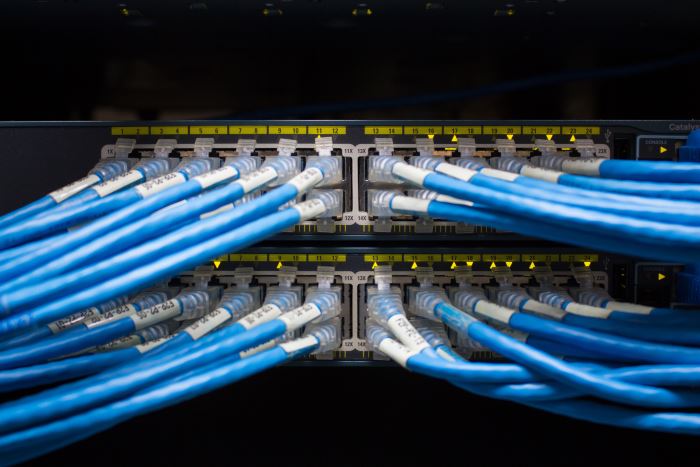Viele blaue Netzwerkkabel stecken in der Rückseite eines Servers